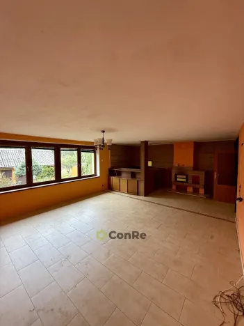 Prodej rodinného domu, Provodín, 297 m2