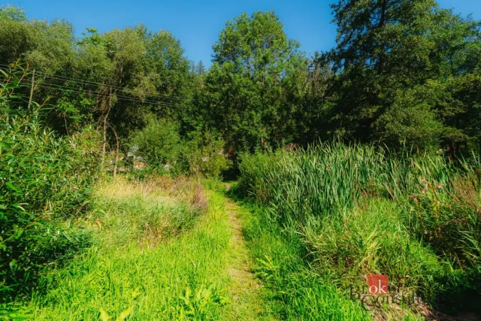 Prodej chaty, Plasy, 56 m2