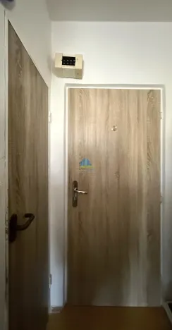 Prodej bytu 1+1, Plesná, Světlá, 35 m2