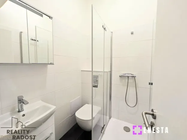 Pronájem bytu 1+kk, Praha - Vinohrady, Perunova, 27 m2