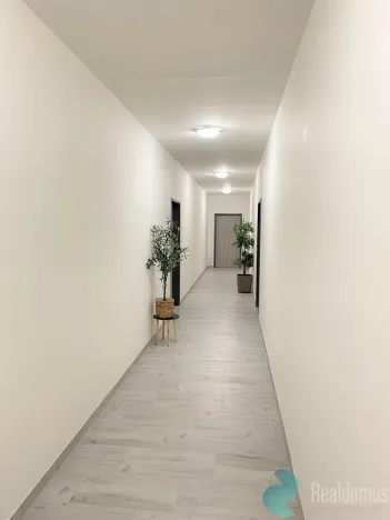 Pronájem bytu 2+kk, Borovany - Trocnov, 51 m2
