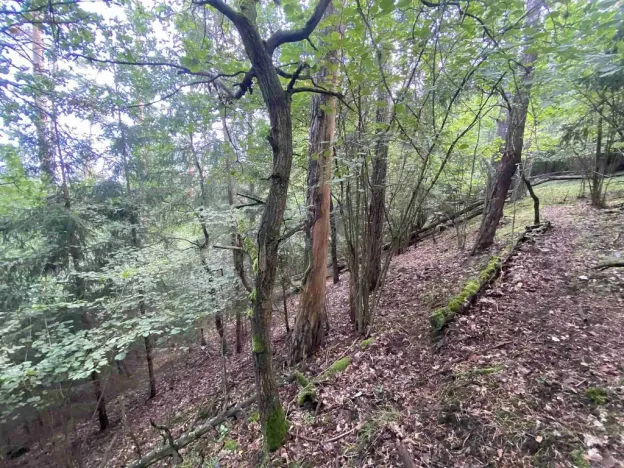 Prodej pozemku, Křečovice - Nahoruby, 3382 m2