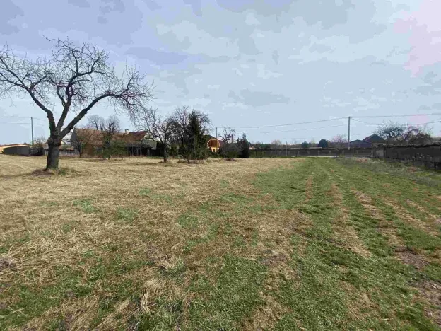 Prodej pozemku, Zálesí, 1254 m2