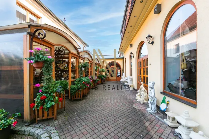 Pronájem obchodního prostoru, Domažlice - Dolejší Předměstí, Husova třída, 140 m2