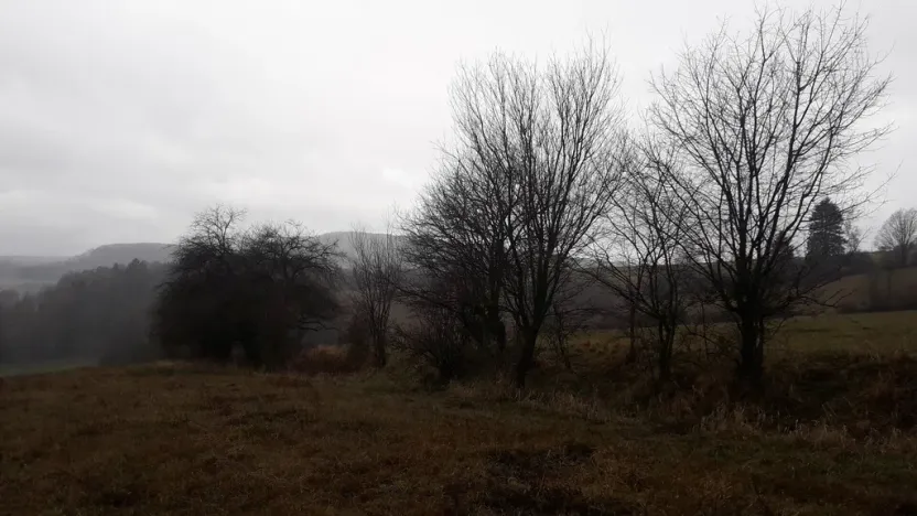 Prodej pole, Teplice nad Metují - Dolní Teplice, 25028 m2