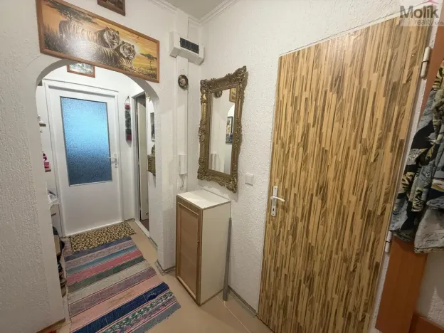 Prodej bytu 4+1, Litvínov - Janov, Luční, 83 m2