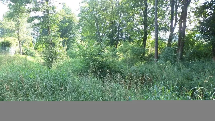 Prodej pozemku, Staré Buky, 154 m2