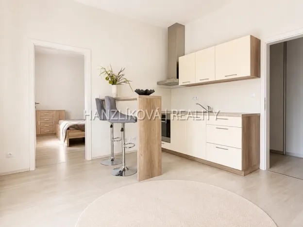 Prodej bytu 2+kk, České Budějovice - České Budějovice 2, U Boru, 40 m2