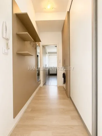 Prodej bytu 2+kk, České Budějovice - České Budějovice 2, U Boru, 40 m2