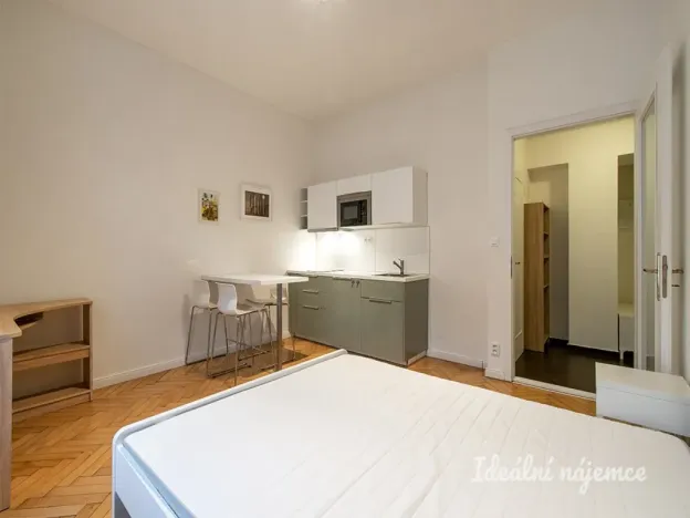 Pronájem bytu 1+kk, Praha - Holešovice, Šimáčkova, 27 m2