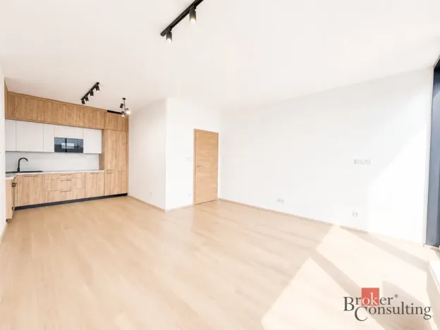 Pronájem bytu 2+kk, Plzeň - Jižní Předměstí, Železná, 79 m2