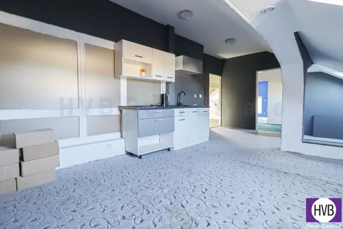 Prodej výrobních prostor, Ostrava - Mariánské Hory, Daliborova, 642 m2