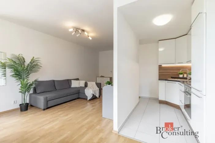 Prodej bytu 1+kk, Brno - Starý Lískovec, U Leskavy, 48 m2