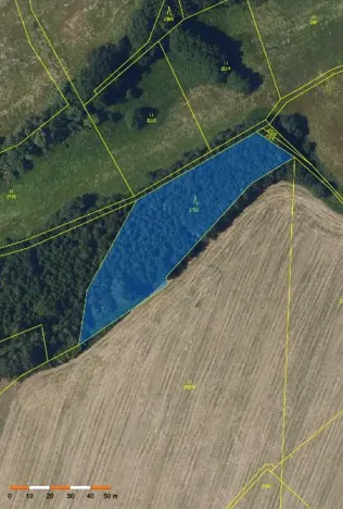 Prodej lesa, Havlíčkův Brod, 3453 m2