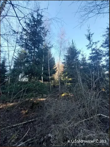 Prodej lesa, Čáslavsko, 3140 m2