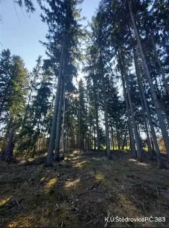 Prodej lesa, Čáslavsko, 3140 m2