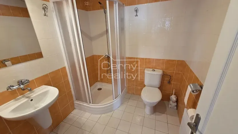 Pronájem komerční nemovitosti, Pardubice, Štrossova, 205 m2