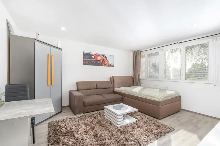 Prodej bytu 1+kk, Hradec Králové - Slezské Předměstí, Severní, 28 m2