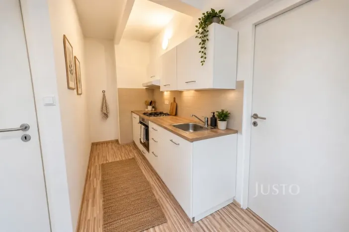 Prodej bytu 2+kk, Liberec - Liberec II-Nové Město, Metelkova, 45 m2