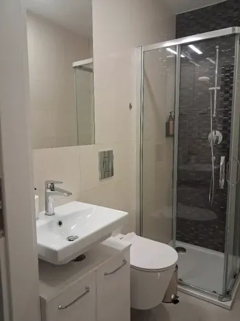 Pronájem bytu 1+kk, Praha - Nové Město, Petrská, 25 m2