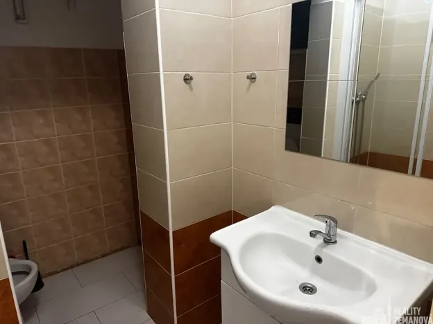 Pronájem bytu 1+kk, Praha - Vinohrady, Řipská, 46 m2
