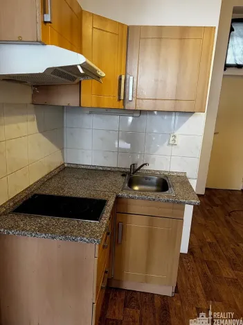 Pronájem bytu 1+kk, Praha - Vinohrady, Řipská, 46 m2