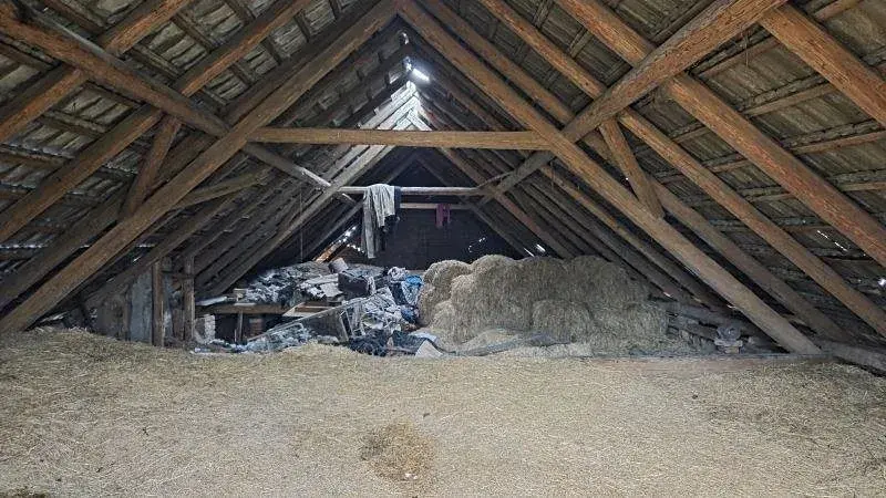 Prodej zemědělské usedlosti, Křižanov, 371 m2