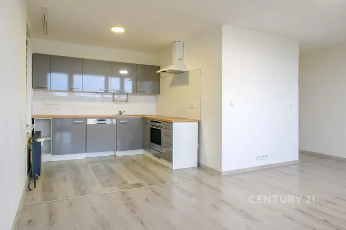 Pronájem bytu 3+1, Most, Brněnská, 68 m2