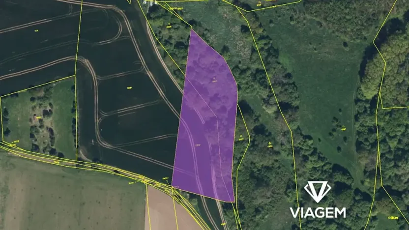 Prodej pole, Přelouč, 8402 m2