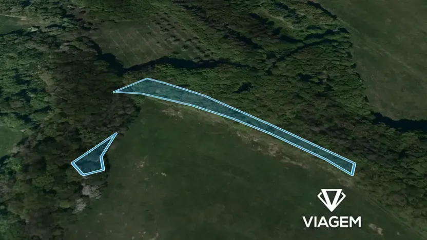 Prodej podílu lesa, Bohuslavice nad Vláří, 1301 m2