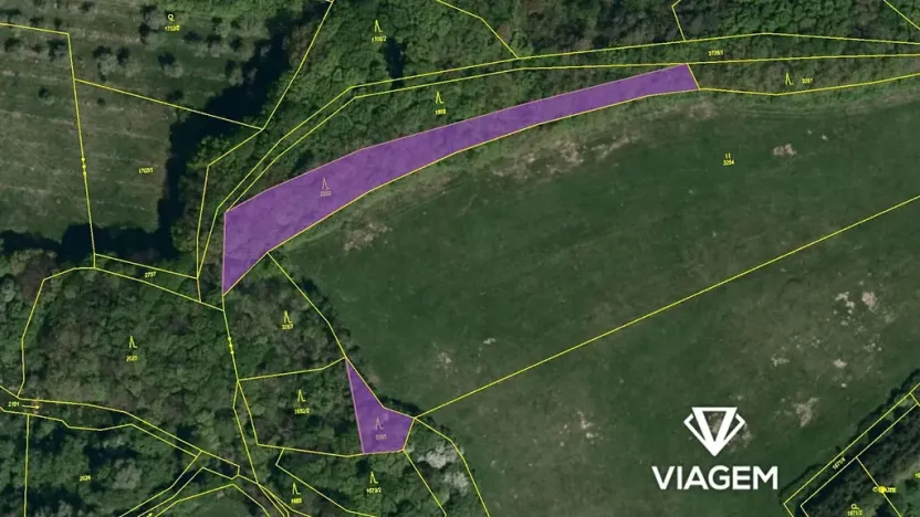 Prodej podílu lesa, Bohuslavice nad Vláří, 1301 m2