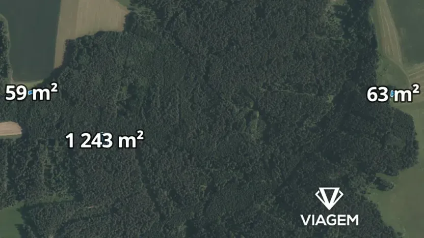 Prodej lesa, Římov, 1365 m2