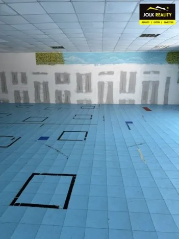 Pronájem obchodního prostoru, Opava, Jaselská, 300 m2
