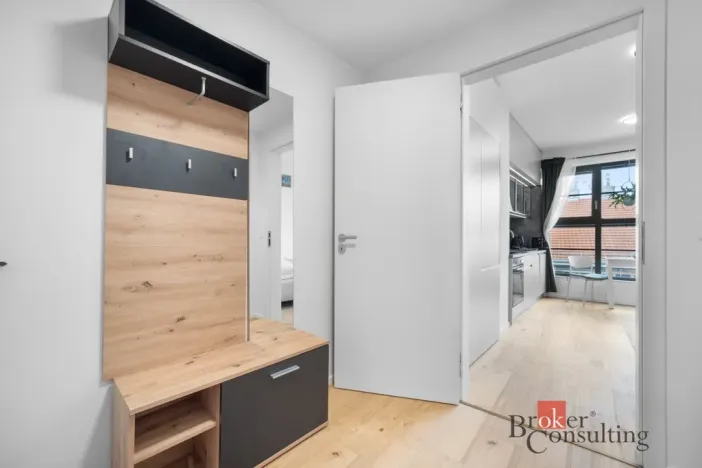 Prodej bytu 1+kk, Brno - Zábrdovice, Bratislavská, 24 m2