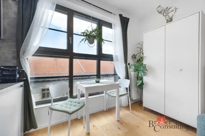 Prodej bytu 1+kk, Brno - Zábrdovice, Bratislavská, 24 m2