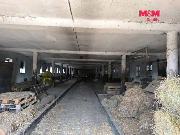 Prodej zemědělského objektu, Vlašim - Bolina, 3150 m2