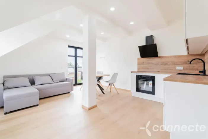 Prodej bytu 1+kk, Nový Bor, Prokopa Velikého, 45 m2