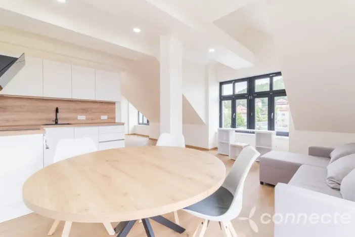 Prodej bytu 1+kk, Nový Bor, Prokopa Velikého, 45 m2