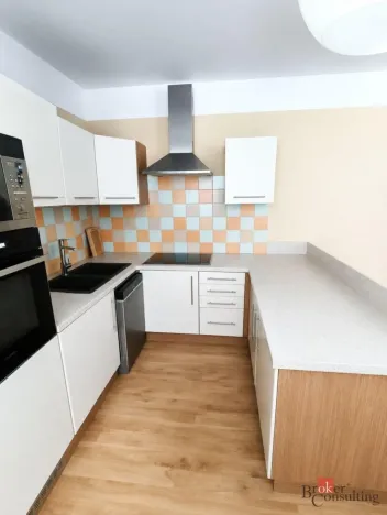 Pronájem bytu 2+kk, Plzeň - Jižní Předměstí, Čechova, 63 m2