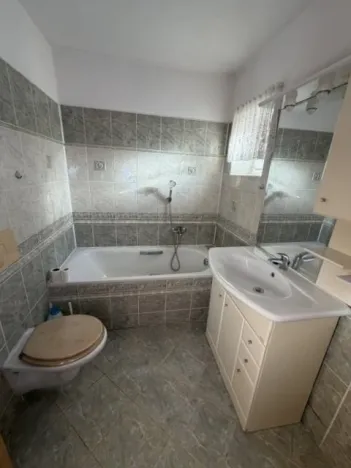 Prodej rodinného domu, Srbsko, Hrašov, 300 m2