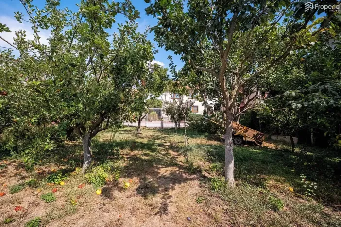 Pronájem obchodního prostoru, Rosice, Brněnská, 84 m2