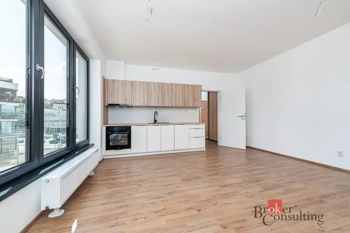 Pronájem bytu 1+kk, Plzeň - Jižní Předměstí, Železná, 38 m2