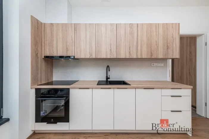 Pronájem bytu 1+kk, Plzeň - Jižní Předměstí, Železná, 38 m2