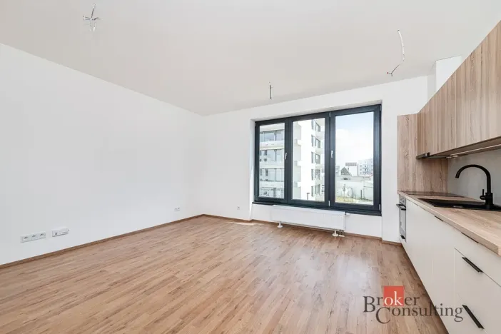 Pronájem bytu 1+kk, Plzeň - Jižní Předměstí, Železná, 38 m2