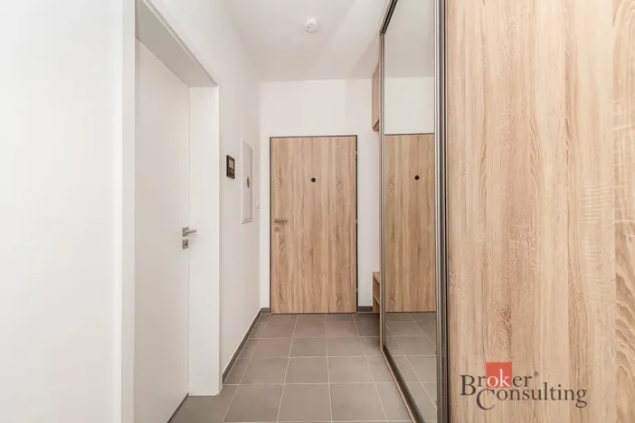 Pronájem bytu 1+kk, Plzeň - Jižní Předměstí, Železná, 38 m2
