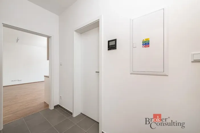 Pronájem bytu 1+kk, Plzeň - Jižní Předměstí, Železná, 38 m2