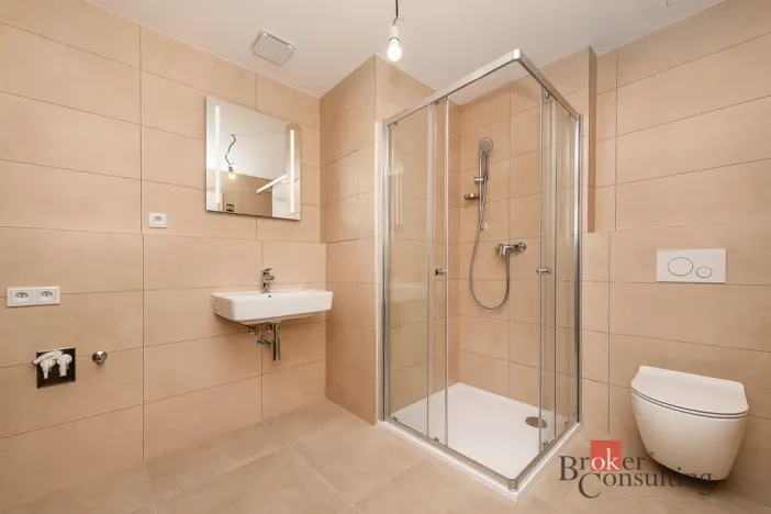 Pronájem bytu 1+kk, Plzeň - Jižní Předměstí, Železná, 38 m2