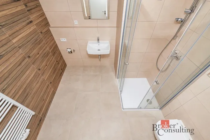 Pronájem bytu 1+kk, Plzeň - Jižní Předměstí, Železná, 38 m2