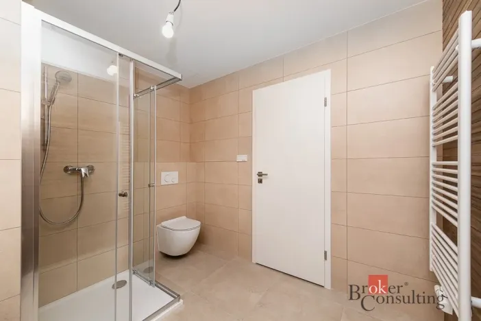 Pronájem bytu 1+kk, Plzeň - Jižní Předměstí, Železná, 38 m2