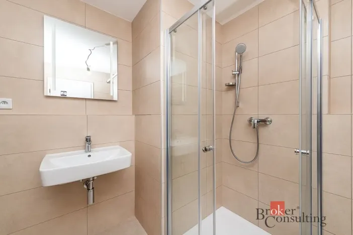 Pronájem bytu 1+kk, Plzeň - Jižní Předměstí, Železná, 38 m2